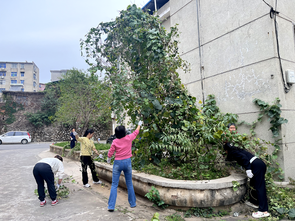 圖片1_副本_副本